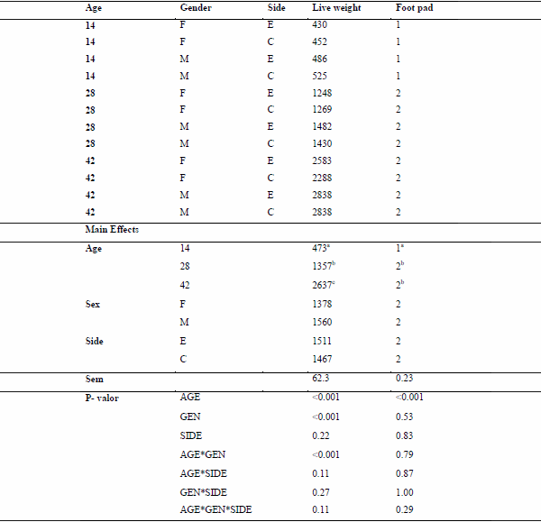 Study of animal welfare through analysis and comparison of the presence of foot pad dermatitis in broilers raised in controlled environments in Brazil and Spain - Image 34