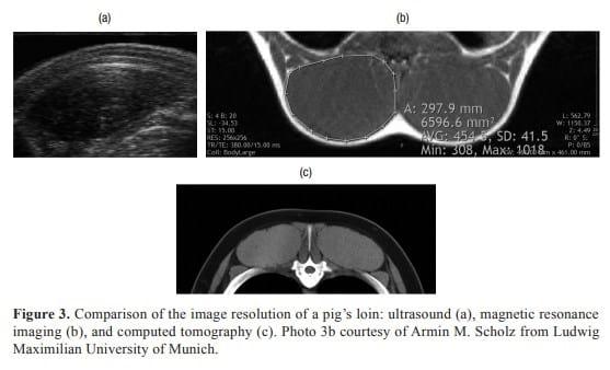 Imaging technologies to study the composition of live pigs: a review - Image 4