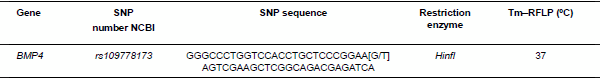 Association between BMP4 gene polymorphism and in vitro embryo production traits in Gyr cows - Image 2