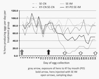 Recovery of Salmonella enterica serovar Enteritidis from hens initially infected with serovar Kentucky - Image 2