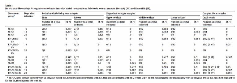 Recovery of Salmonella enterica serovar Enteritidis from hens initially infected with serovar Kentucky - Image 4
