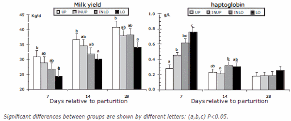 Some new aspects of nutrition, health conditions and fertility of intensively reared dairy cows - Image 7