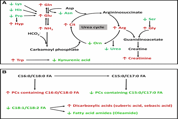 Metabolomics revealed diurnal heat stress and zinc supplementation-induced changes in amino acid, lipid, and microbial metabolism - Image 17