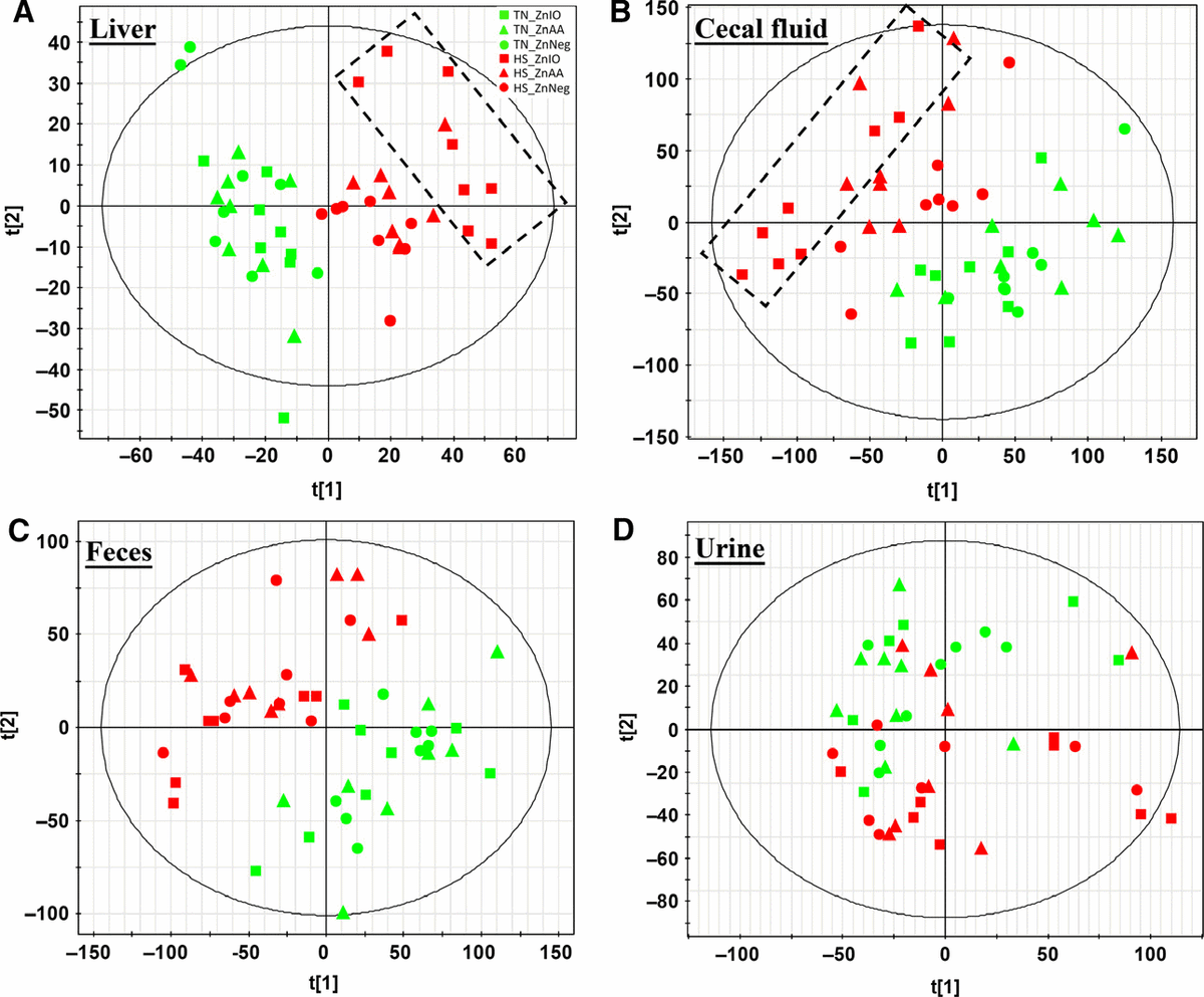 Metabolomics revealed diurnal heat stress and zinc supplementation-induced changes in amino acid, lipid, and microbial metabolism - Image 11
