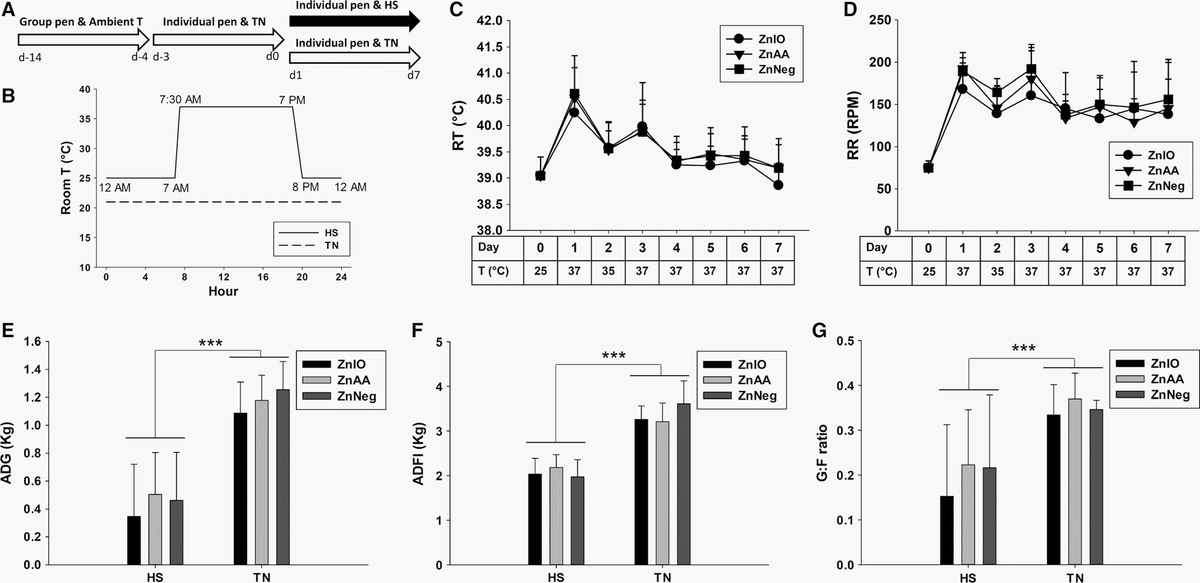 Metabolomics revealed diurnal heat stress and zinc supplementation-induced changes in amino acid, lipid, and microbial metabolism - Image 3