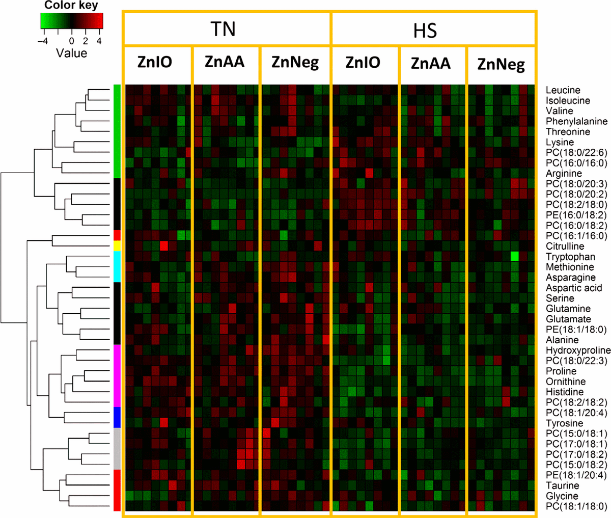 Metabolomics revealed diurnal heat stress and zinc supplementation-induced changes in amino acid, lipid, and microbial metabolism - Image 13