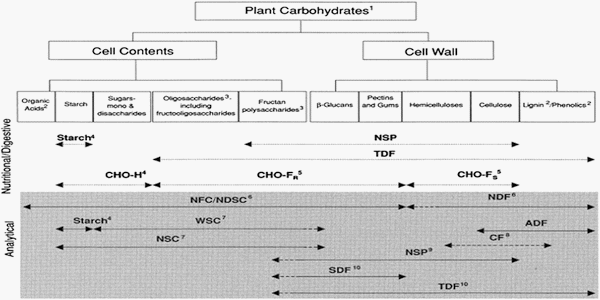 Strategies to improve fiber utilization in swine - Image 1