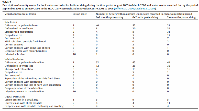 Lameness in dairy heifers; impacts of hoof lesions present around first calving on future lameness, milk yield and culling risk - Image 2