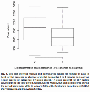 Lameness in dairy heifers; impacts of hoof lesions present around first calving on future lameness, milk yield and culling risk - Image 13