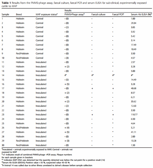 Evaluation of the limitations and methods to improve rapid phage-based detection of viable Mycobacterium avium subsp. paratuberculosis in the blood of experimentally infected cattle - Image 1