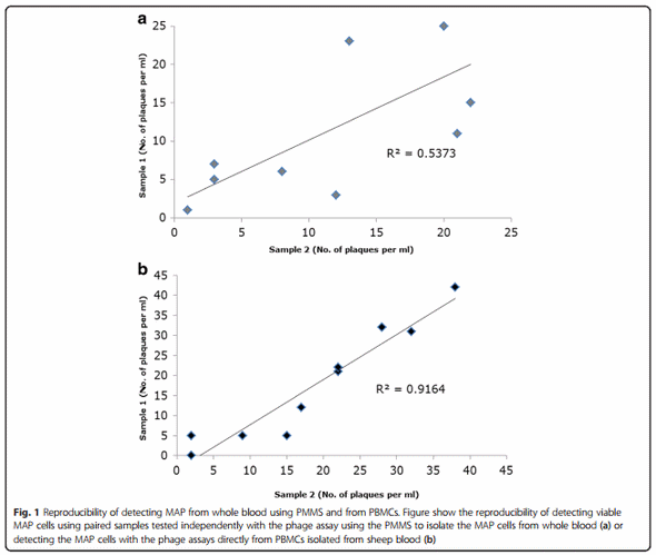 Evaluation of the limitations and methods to improve rapid phage-based detection of viable Mycobacterium avium subsp. paratuberculosis in the blood of experimentally infected cattle - Image 3