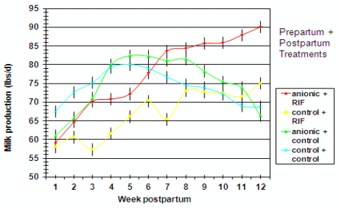 Nutritional Intervention to Improve the Calcium and Energetic Status of High Producing Transition Dairy Cattle - Image 3