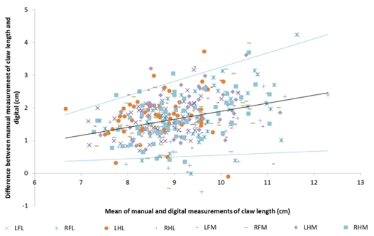 Measuring Claw Conformation in Cattle: Assessing the Agreement between Manual and Digital Measurement - Image 8