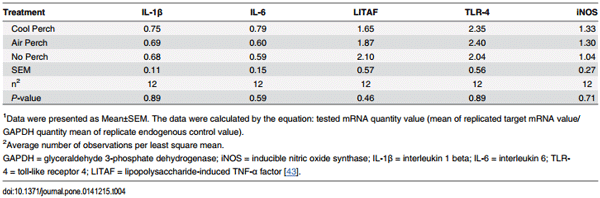 The Effect of Cooled Perches on Immunological Parameters of Caged White Leghorn Hens during the Hot Summer Months - Image 5
