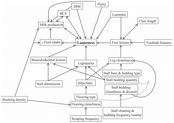 Prevalence of lameness and associated risk factors in Canadian Holstein-Friesian cows housed in freestall barns - Image 1