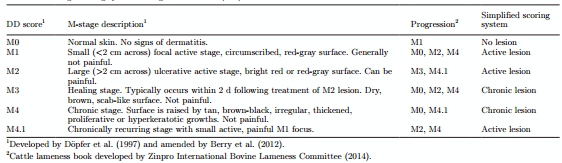 Effectiveness of a standardized footbath protocol for prevention of digital dermatitis - Image 7