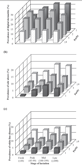 Prevalence and distribution of foot lesions in dairy cattle in Alberta, Canada - Image 9
