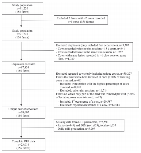 Prevalence and distribution of foot lesions in dairy cattle in Alberta, Canada - Image 1