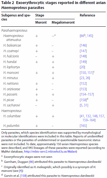 Exo-erythrocytic development of avian malaria and related haemosporidian parasites - Image 7