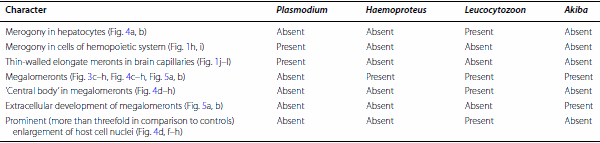 Exo-erythrocytic development of avian malaria and related haemosporidian parasites - Image 16