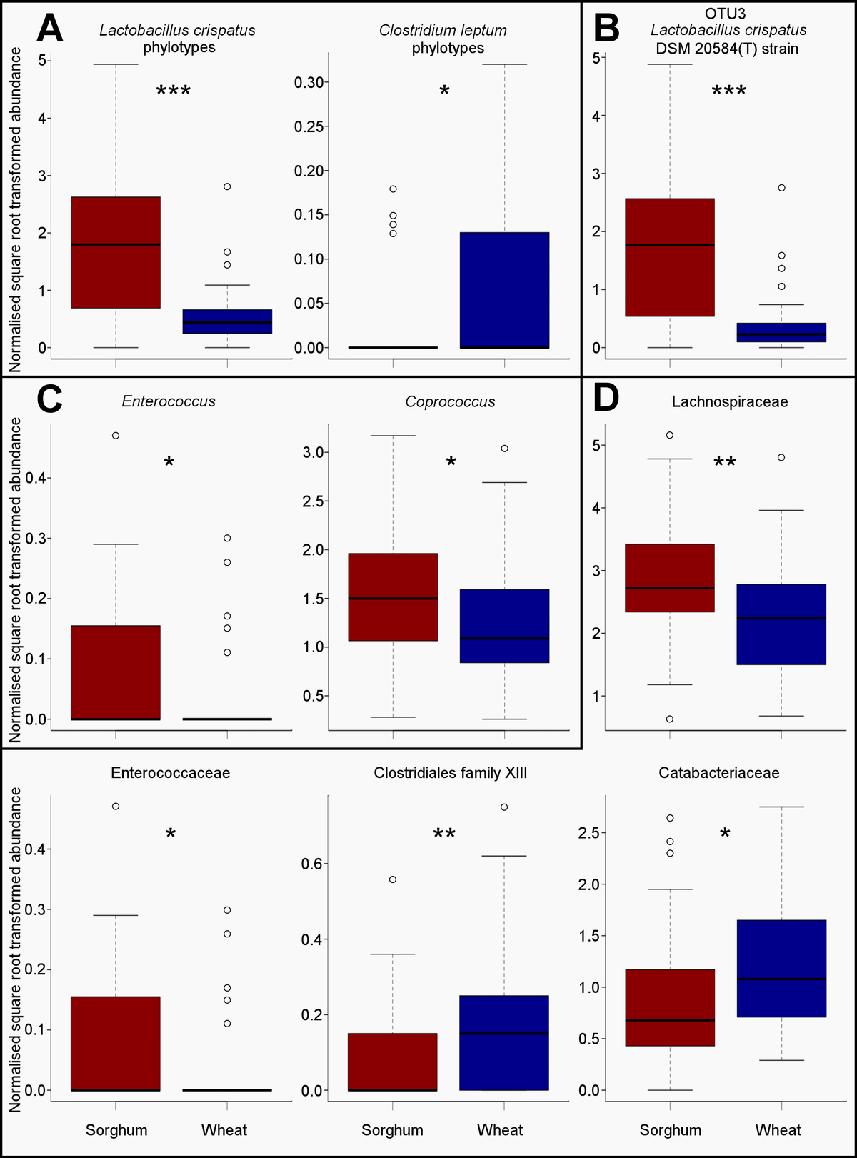 Sorghum and wheat differentially affect caecal microbiota and associated performance characteristics of meat chickens - Image 4