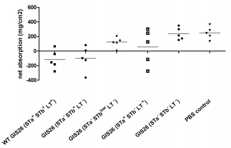 Role of Heat-Stable Enterotoxins in the Induction of Early Immune Responses in Piglets after Infection with Enterotoxigenic Escherichia coli - Image 9