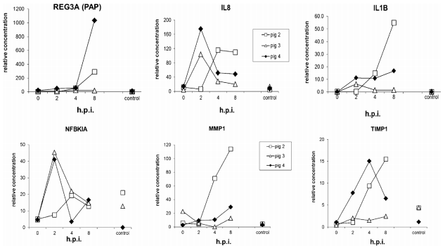 Transcription networks responsible for early regulation of Salmonella-induced inflammation in the jejunum of pigs - Image 2
