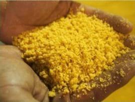 Using Dry Extruded Whole Soybeans (“Extruded Full-Fat”) in Formulations - Image 1