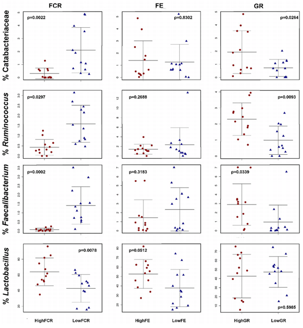 Bacteria within the Gastrointestinal Tract Microbiota Correlated with Improved Growth and Feed Conversion: Challenges Presented for the Identification of Performance Enhancing Probiotic Bacteria - Image 10