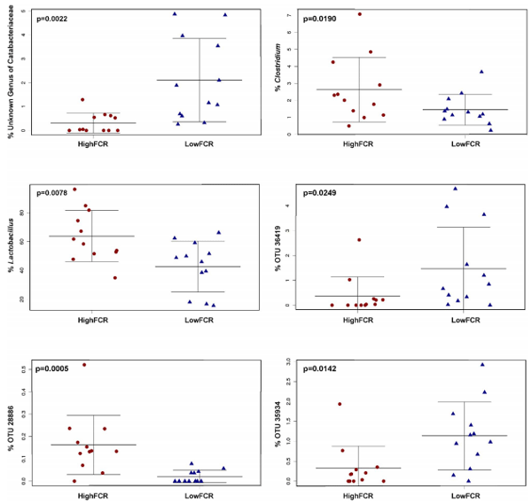 Bacteria within the Gastrointestinal Tract Microbiota Correlated with Improved Growth and Feed Conversion: Challenges Presented for the Identification of Performance Enhancing Probiotic Bacteria - Image 7