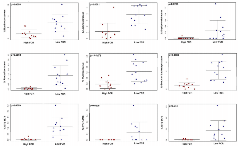 Bacteria within the Gastrointestinal Tract Microbiota Correlated with Improved Growth and Feed Conversion: Challenges Presented for the Identification of Performance Enhancing Probiotic Bacteria - Image 4
