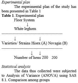 Comparative Study on the Pre-molting Performance of Different Strains of White Leghorn Layers - Image 1