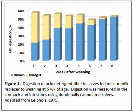 Modeling the effects of liquid intake and weaning on digestibility of nutrients in pre- and post-weaned dairy calves - Image 2