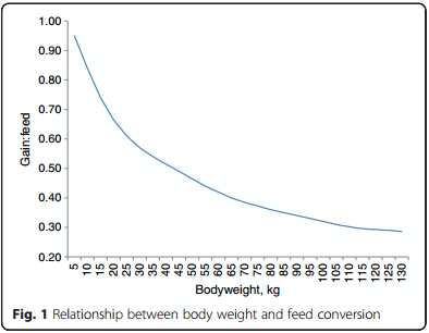 A review of feed efficiency in swine: biology and application - Image 1