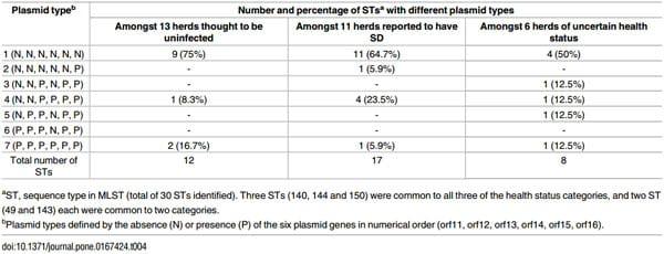 An Investigation into the Etiological Agents of Swine Dysentery in Australian Pig Herds - Image 8