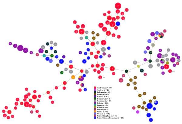 An Investigation into the Etiological Agents of Swine Dysentery in Australian Pig Herds - Image 7