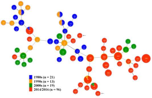 An Investigation into the Etiological Agents of Swine Dysentery in Australian Pig Herds - Image 6