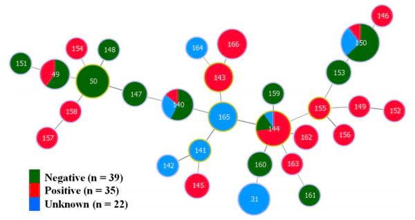 An Investigation into the Etiological Agents of Swine Dysentery in Australian Pig Herds - Image 5