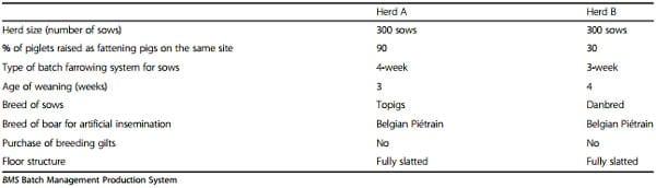 Clinical problems due to encephalomyocarditis virus infections in two pig herds - Image 3