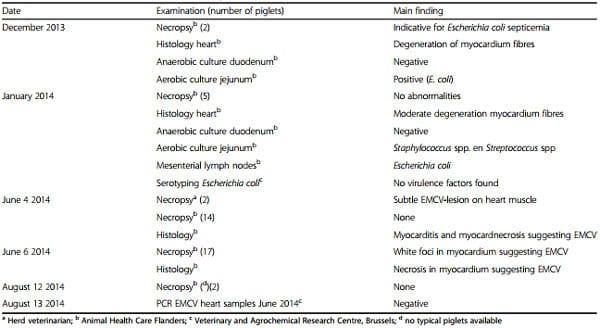 Clinical problems due to encephalomyocarditis virus infections in two pig herds - Image 5