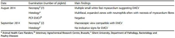 Clinical problems due to encephalomyocarditis virus infections in two pig herds - Image 7
