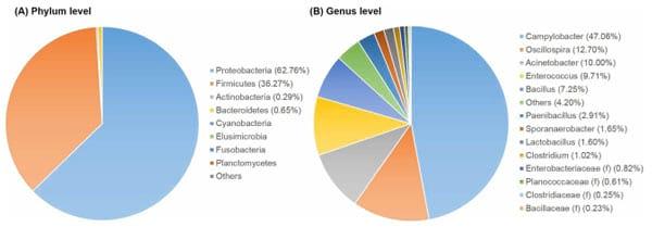 Assessment of Chicken Carcass Microbiome Responses During Processing in the Presence of Commercial Antimicrobials Using a Next Generation Sequencing Approach - Image 11