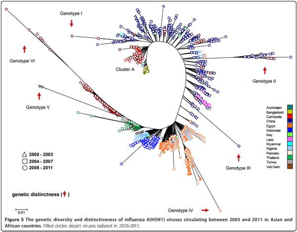 Improving global influenza surveillance: trends of A(H5N1) virus in Africa and Asia - Image 5