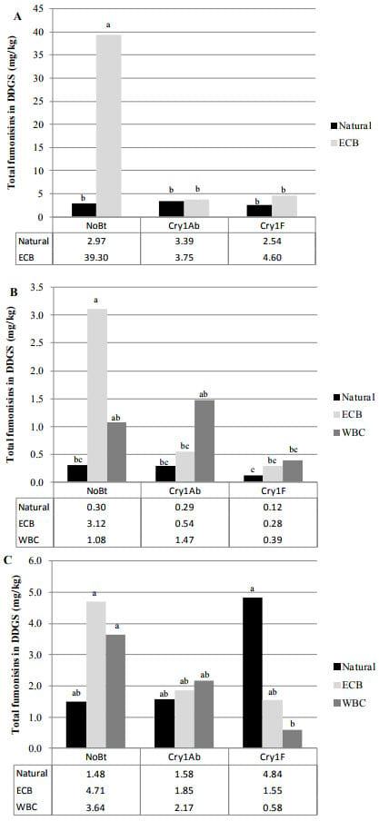 Fumonisins in Conventional and Transgenic, Insect-Resistant Maize Intended for Fuel Ethanol Production: Implications for Fermentation Efficiency and DDGS Co-Product Quality - Image 4
