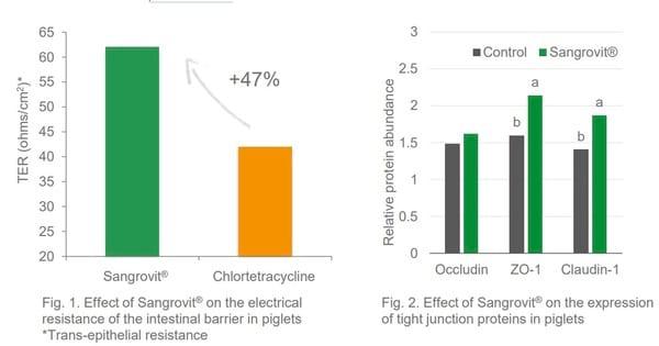 “Leaky Gut Syndrome”: The story behind a bad performance - Image 2