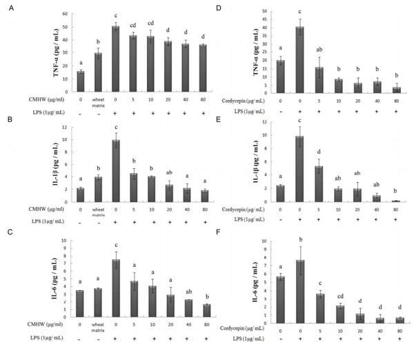 Cordyceps militaris hot water extract inhibits lipopolysaccharide-induced inflammatory response in porcine alveolar macrophages by regulation of mitogen-activated protein kinase signaling pathway - Image 4