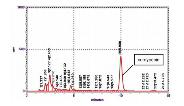 Cordyceps militaris hot water extract inhibits lipopolysaccharide-induced inflammatory response in porcine alveolar macrophages by regulation of mitogen-activated protein kinase signaling pathway - Image 1