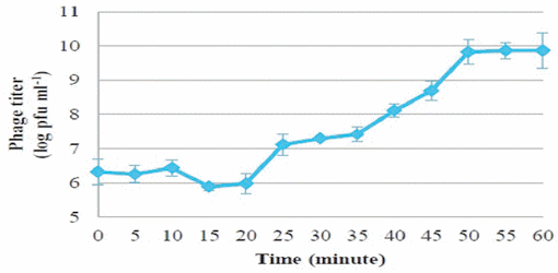 Prophylactic Bacteriophage Administration More Effective than Post-infection Administration in Reducing Salmonella entérica serovar Enteritidis Shedding in Quail - Image 5