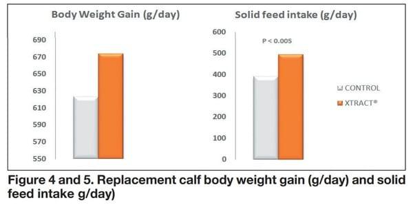 XTRACT® a suitable tool to support pre-weaning challenges in veal and replacement calves - Image 5