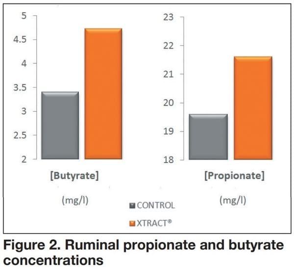 XTRACT® a suitable tool to support pre-weaning challenges in veal and replacement calves - Image 2